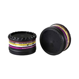 Filtre chimique combiné A1B1E1 P R SL + Ozone pour AIRMAX ELITE