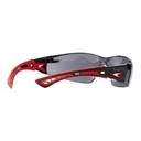 Lunettes de protection Polycarbonate fumé RUSH+ - 1